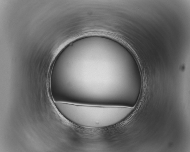 X0000113211533200909100934