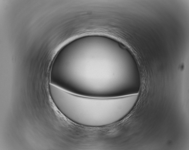 X0000113211534200909100934
