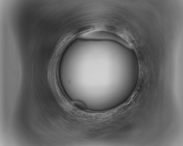 X0000113210001200909101141