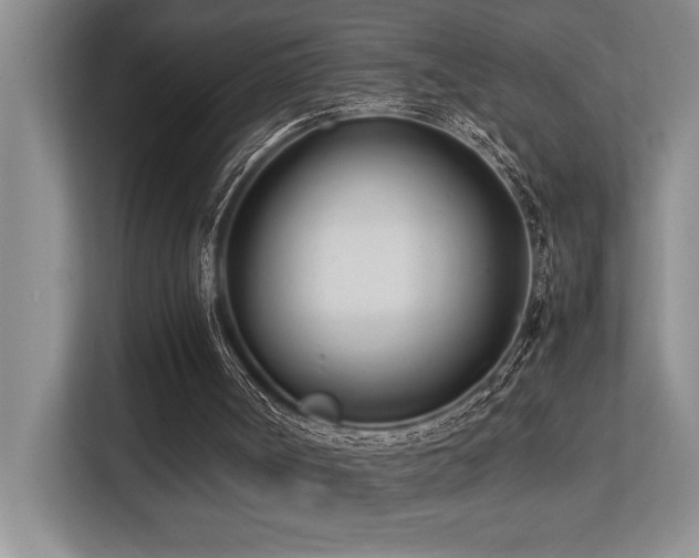 X0000113210002200909101141