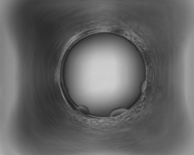 X0000113210003200909101141