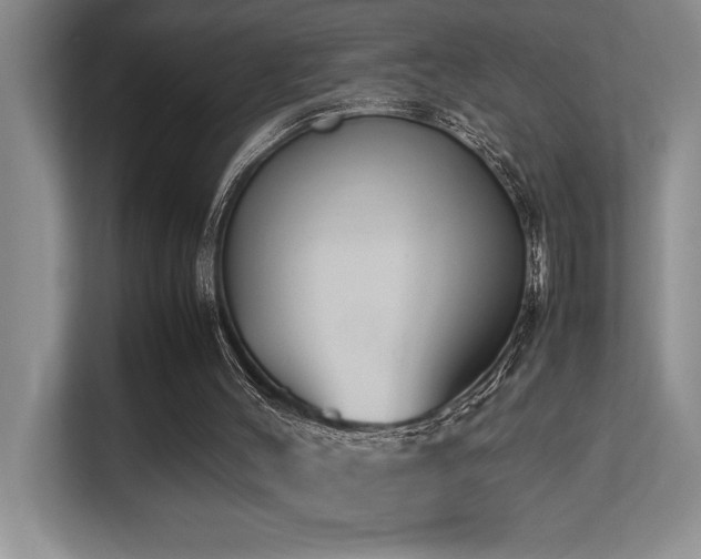 X0000113210004200909101141