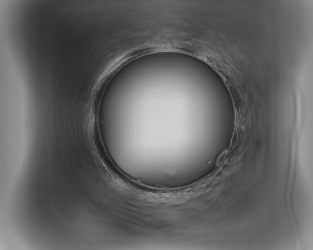 X0000113210005200909101141