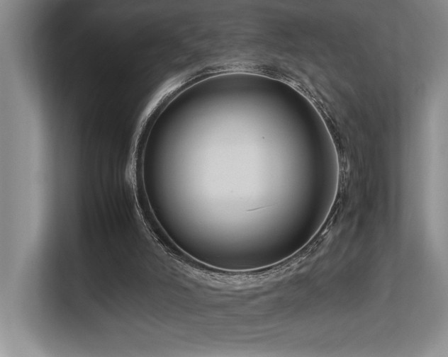 X0000113210006200909101141