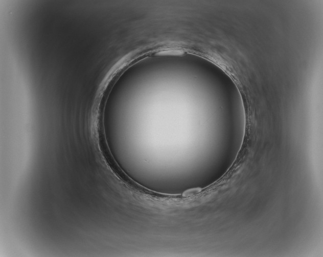 X0000113210007200909101141