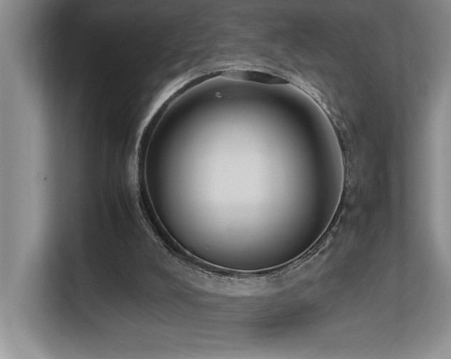 X0000113210008200909101141