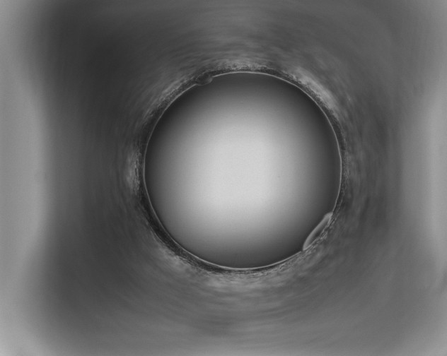 X0000113210009200909101141