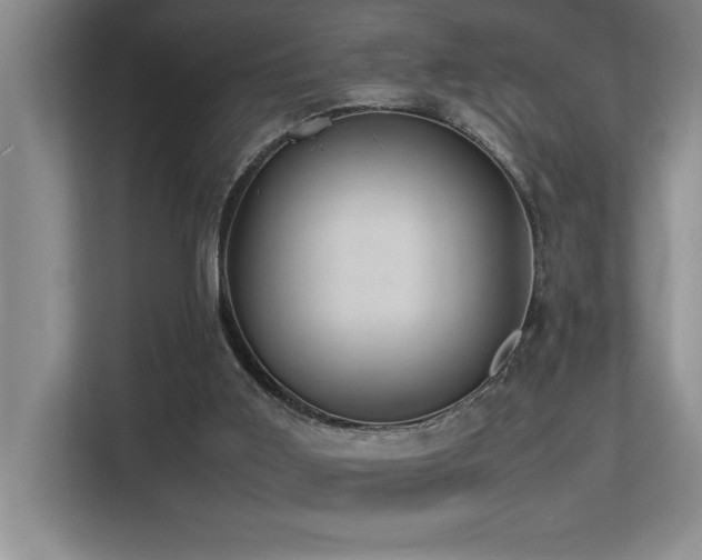 X0000113210011200909101141