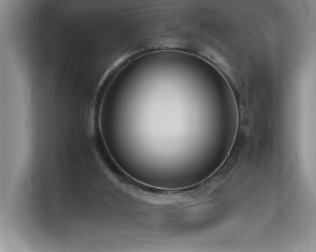 X0000113210012200909101141