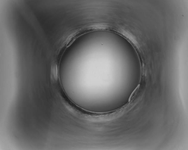 X0000113210013200909101141