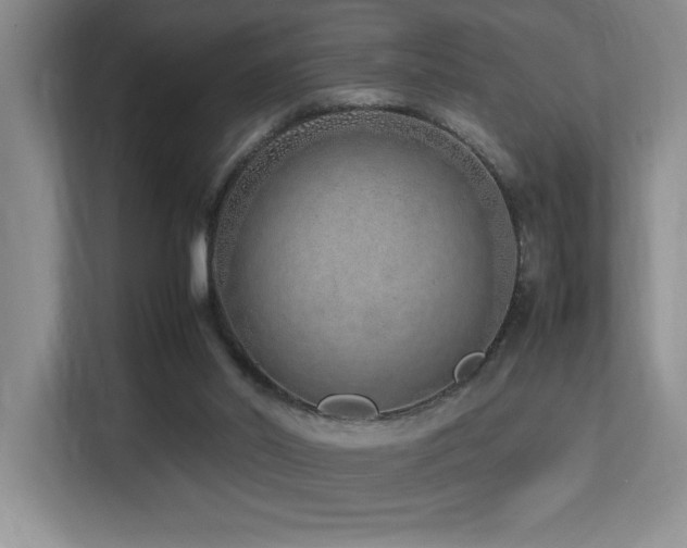 X0000113210014200909101141