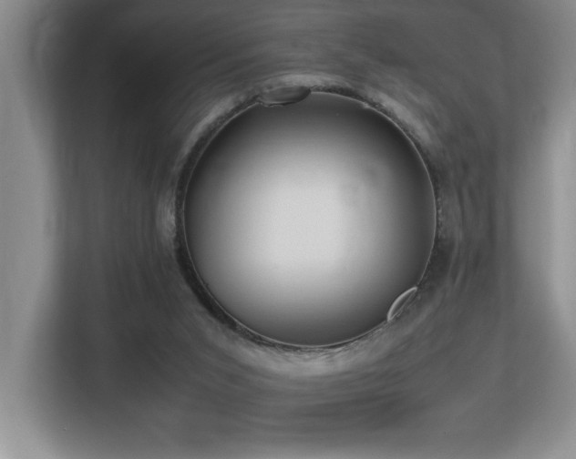 X0000113210015200909101141