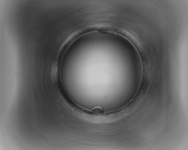 X0000113210016200909101141