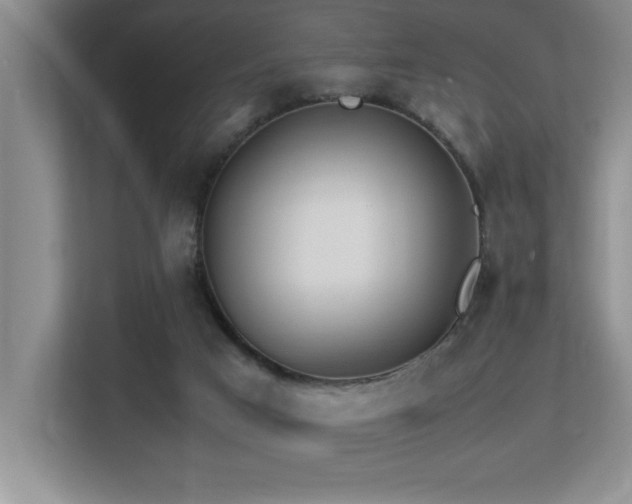 X0000113210017200909101141