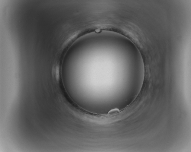 X0000113210019200909101141