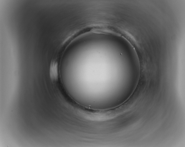 X0000113210020200909101141