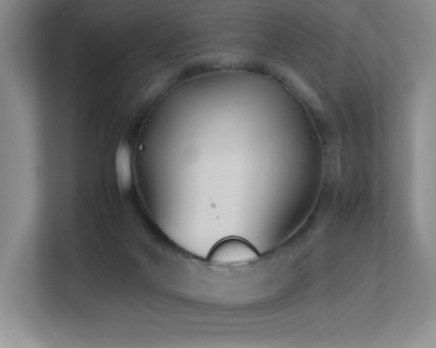 X0000113210022200909101141