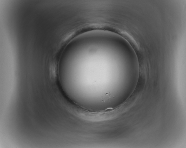 X0000113210023200909101141