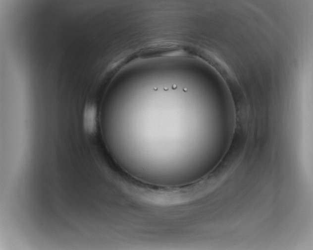 X0000113210024200909101141