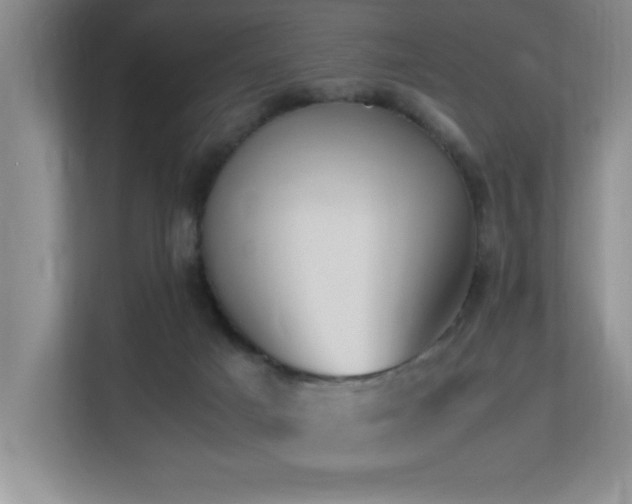 X0000113210025200909101141