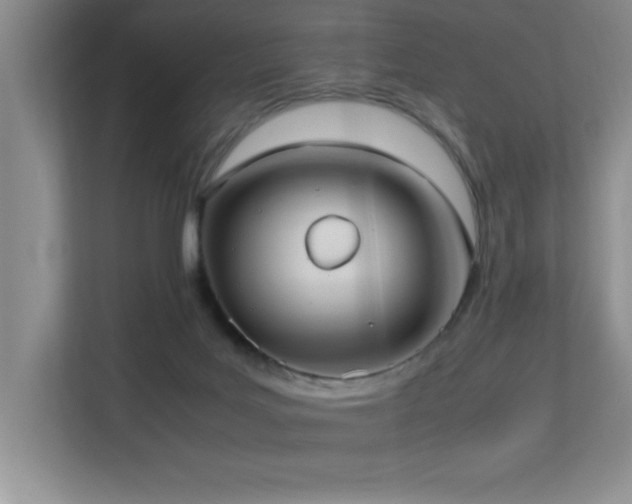 X0000113210027200909101141