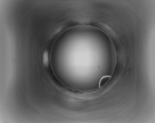 X0000113210028200909101141