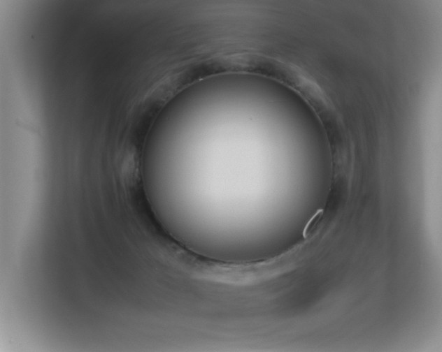 X0000113210029200909101141