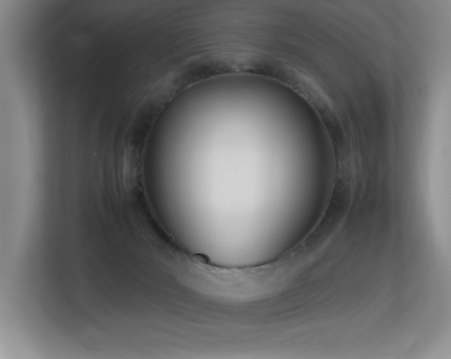 X0000113210030200909101141