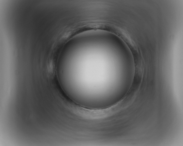 X0000113210031200909101141