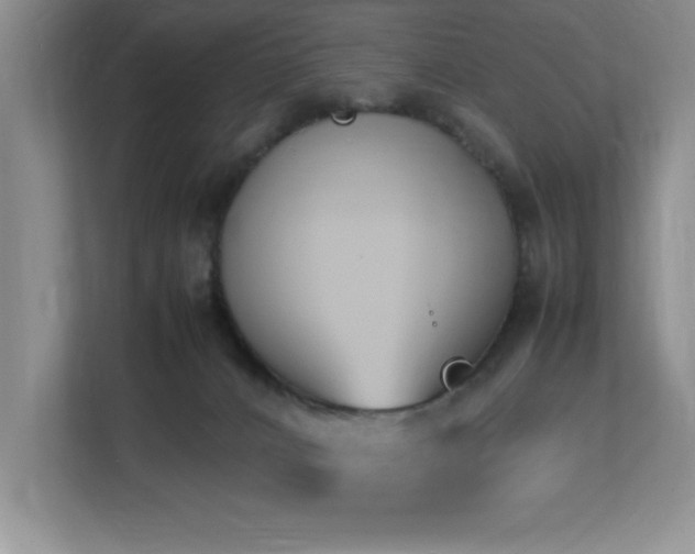 X0000113210032200909101141