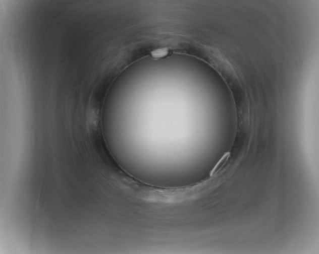 X0000113210033200909101141