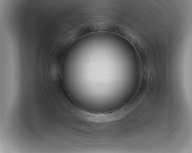 X0000113210034200909101141