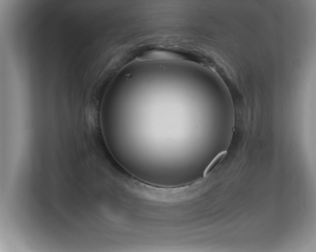 X0000113210035200909101141