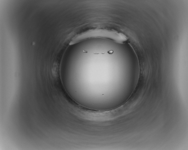 X0000113210036200909101141