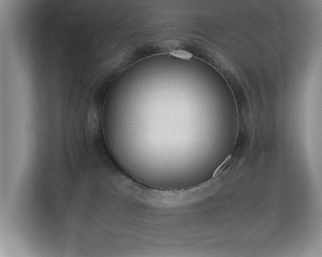 X0000113210037200909101141