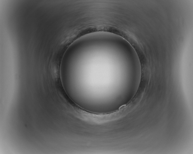 X0000113210039200909101141