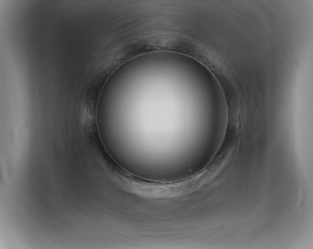 X0000113210040200909101141