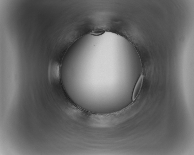 X0000113210041200909101141