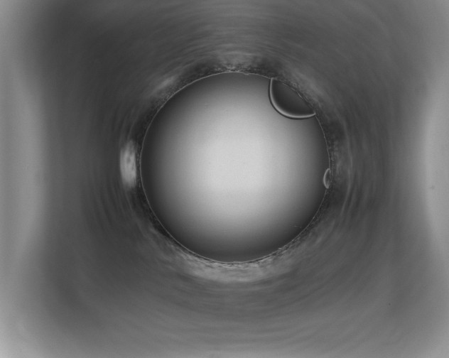 X0000113210042200909101141