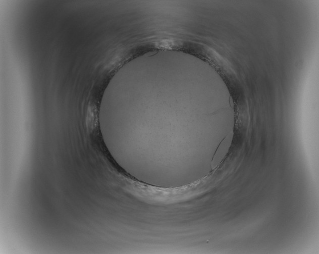 X0000113210043200909101141