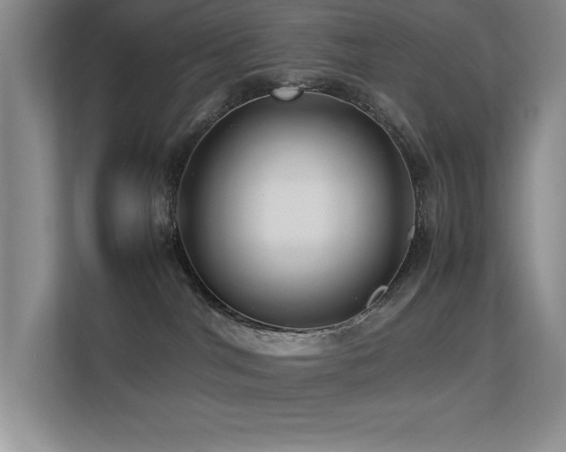 X0000113210044200909101141