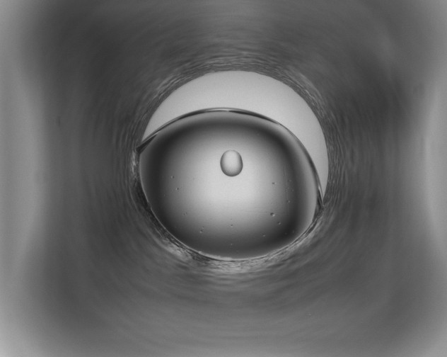 X0000113210045200909101141