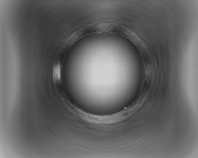 X0000113210046200909101141