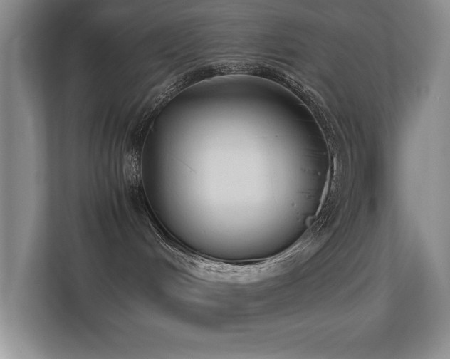 X0000113210048200909101141