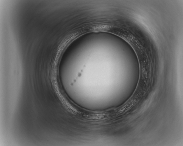 X0000113210049200909101140