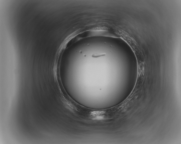 X0000113210051200909101140