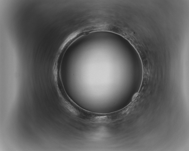 X0000113210054200909101140