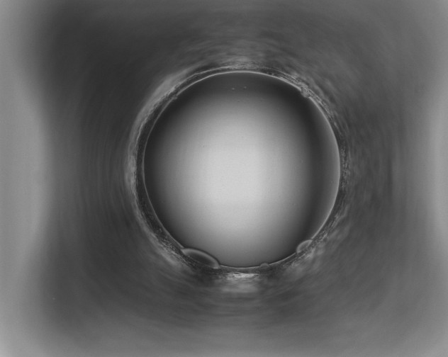 X0000113210055200909101140