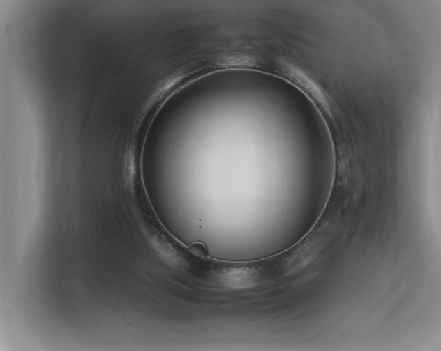 X0000113210059200909101140