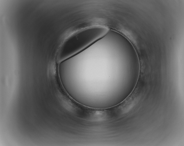 X0000113210060200909101140